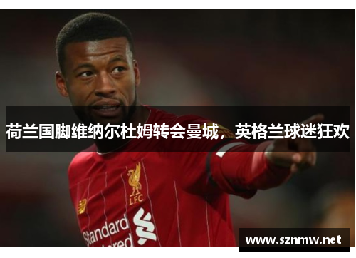 荷兰国脚维纳尔杜姆转会曼城，英格兰球迷狂欢